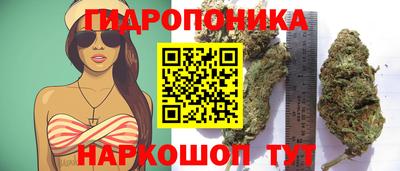 крисы Лесосибирск