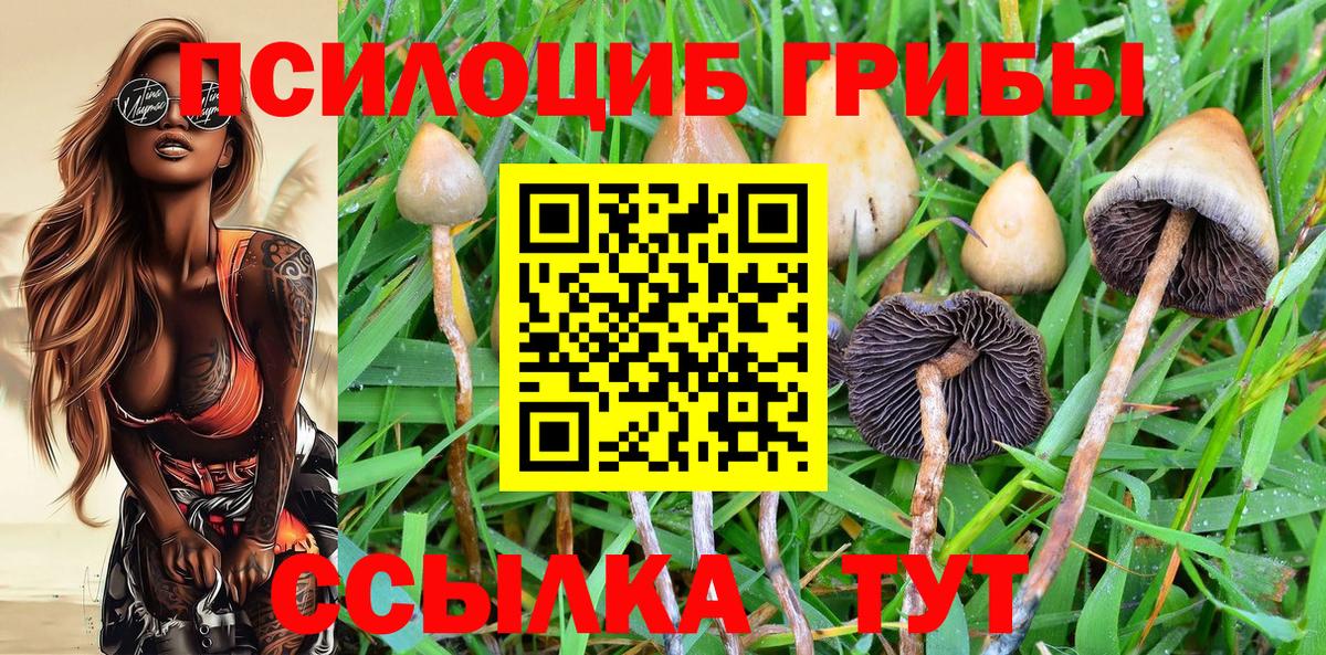 Арсеньев  Псилоцибиновые грибы Cubensis  Вход с VPN  Псилоцибиновые грибы Psilocybine cubensis 