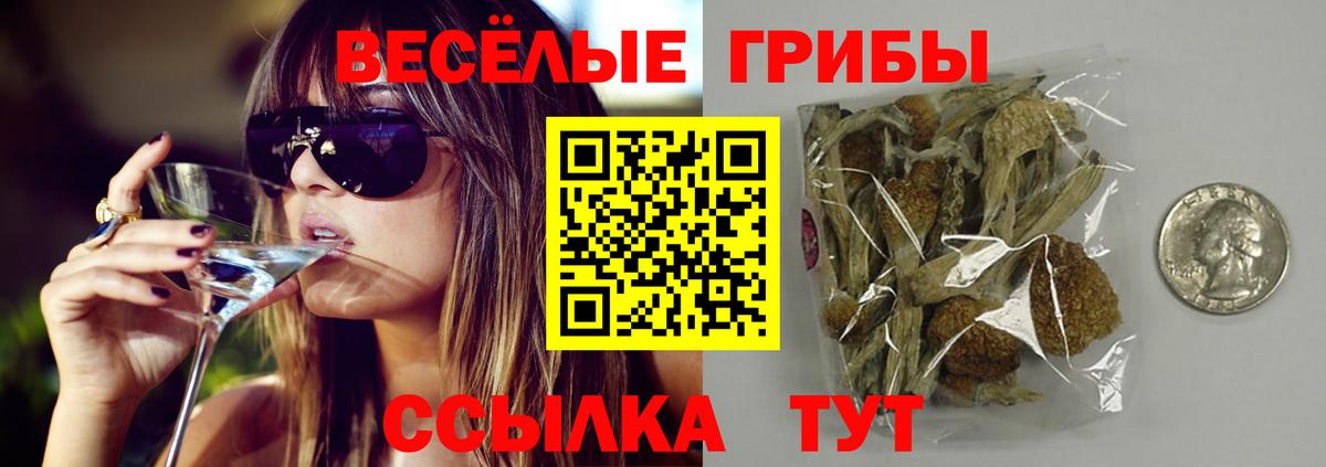 Псилоцибиновые грибы Psilocybe Арсеньев